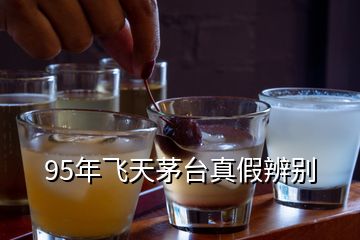 95年飛天茅臺真假辨別