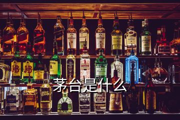 茅臺(tái)是什么