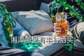 湘潭哪里有豐谷酒買(mǎi)