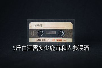 5斤白酒需多少鹿茸和人參浸酒