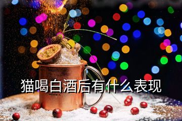 貓喝白酒后有什么表現(xiàn)