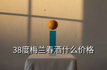 38度梅蘭春酒什么價格