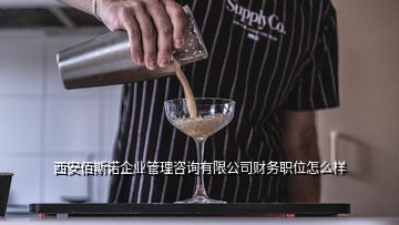 西安佰斯諾企業(yè)管理咨詢(xún)有限公司財(cái)務(wù)職位怎么樣