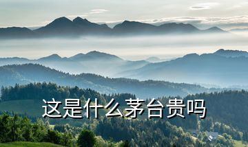 這是什么茅臺(tái)貴嗎
