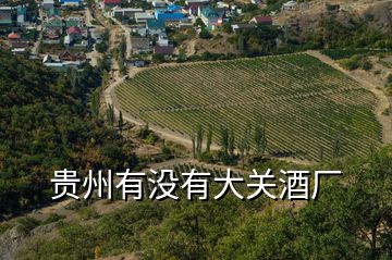 貴州有沒有大關(guān)酒廠