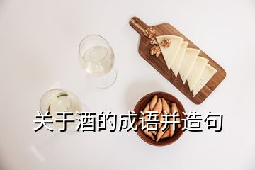 關(guān)于酒的成語并造句