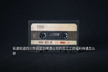 有誰知道四川華潤藍(lán)劍啤酒公司的員工工資福利待遇怎么樣
