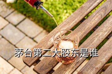 茅臺(tái)第二大股東是誰(shuí)