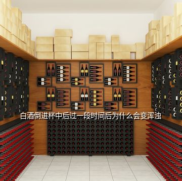 白酒倒進杯中后過一段時間后為什么會變渾濁