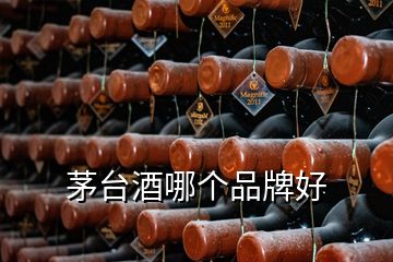 茅臺酒哪個品牌好