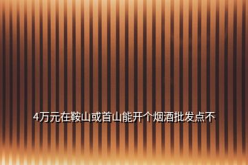 4萬元在鞍山或首山能開個(gè)煙酒批發(fā)點(diǎn)不