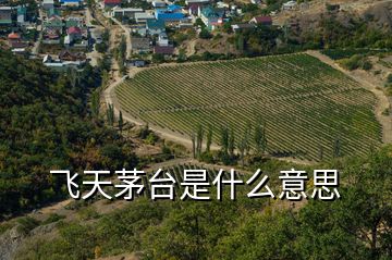 飛天茅臺(tái)是什么意思