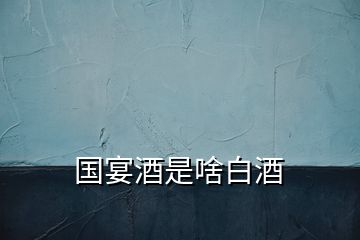 國宴酒是啥白酒