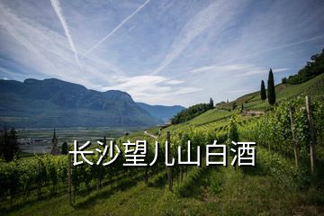 長沙望兒山白酒
