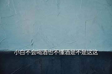 小白不會(huì)喝酒也不懂酒是不是這這