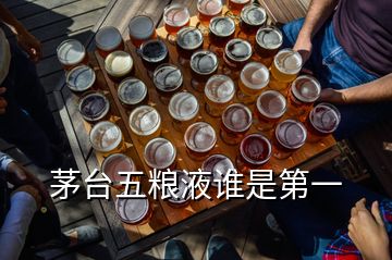 茅臺(tái)五糧液誰(shuí)是第一