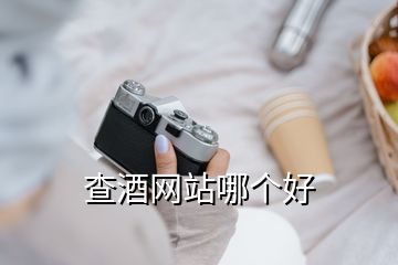 查酒網(wǎng)站哪個好