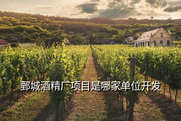 鄄城酒精廠項目是哪家單位開發(fā)