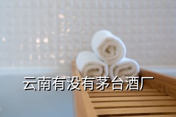 云南有沒(méi)有茅臺(tái)酒廠