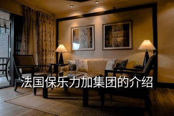 法國保樂力加集團(tuán)的介紹