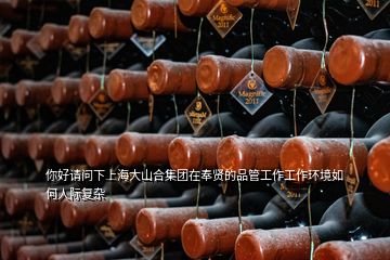 你好請問下上海大山合集團在奉賢的品管工作工作環(huán)境如何人際復(fù)雜
