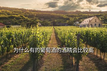 為什么有的葡萄酒的酒精會(huì)比較高