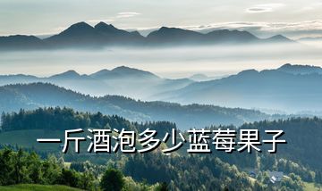 一斤酒泡多少藍莓果子