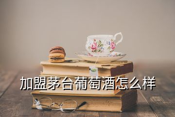 加盟茅臺(tái)葡萄酒怎么樣