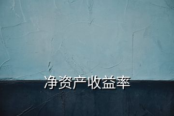 凈資產(chǎn)收益率