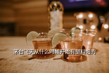茅臺飛天從什么時(shí)候開始有塑料帽的