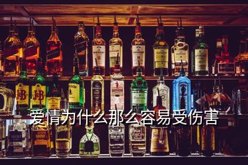 愛(ài)情為什么那么容易受傷害
