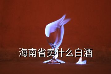 海南省賣什么白酒