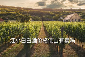 江小白白酒價格佛山有賣嗎