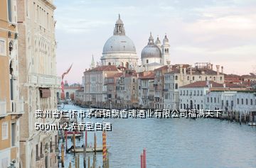 貴州省仁懷市茅臺鎮(zhèn)飄香魂酒業(yè)有限公司福滿天下500mlx2濃香型白酒