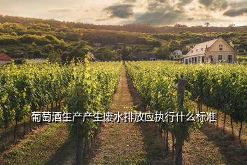 葡萄酒生產(chǎn)產(chǎn)生廢水排放應執(zhí)行什么標準