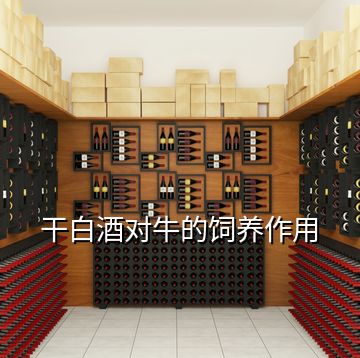 干白酒對牛的飼養(yǎng)作用