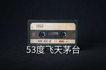 53度飛天茅臺(tái)