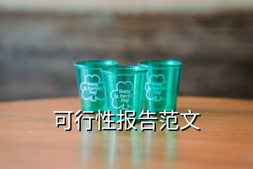 可行性報告范文