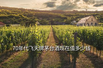 70年代飛天牌茅臺(tái)酒現(xiàn)在值多少錢(qián)