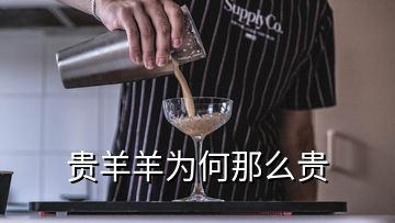 貴羊羊?yàn)楹文敲促F