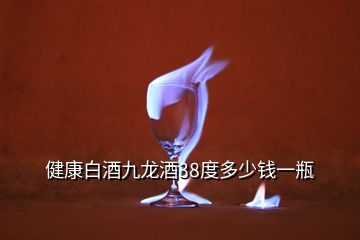 健康白酒九龍酒38度多少錢(qián)一瓶