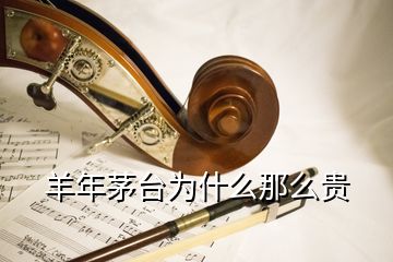 羊年茅臺(tái)為什么那么貴