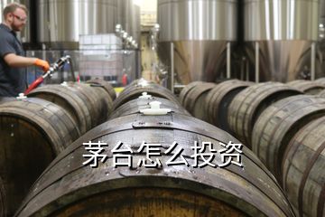 茅臺(tái)怎么投資