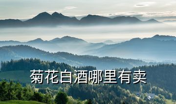 菊花白酒哪里有賣