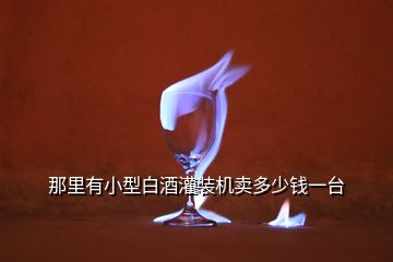 那里有小型白酒灌裝機賣多少錢一臺