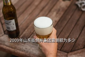 2009年山東扳倒井集團(tuán)營(yíng)銷額為多少