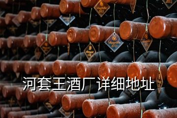 河套王酒廠詳細地址