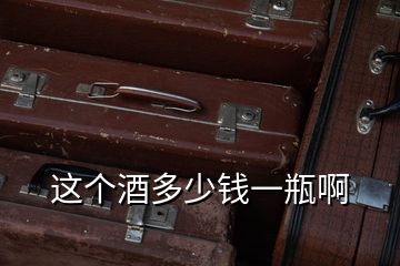 這個酒多少錢一瓶啊