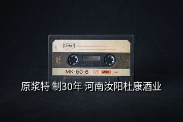 原漿特 制30年 河南汝陽杜康酒業(yè)