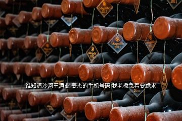 誰(shuí)知道沙河王酒業(yè) 姜杰的手機(jī)號(hào)碼 我老板急著要跪求